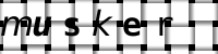Obrázok CAPTCHA
