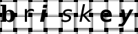 Obrázok CAPTCHA
