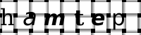 Obrázok CAPTCHA