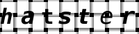 Obrázok CAPTCHA