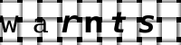 Obrázok CAPTCHA