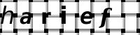 Obrázok CAPTCHA