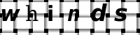 Obrázok CAPTCHA