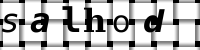 Obrázok CAPTCHA