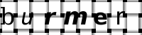 Obrázok CAPTCHA