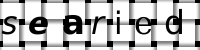 Obrázok CAPTCHA