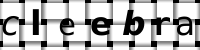 Obrázok CAPTCHA